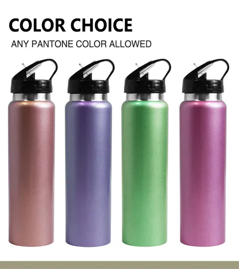 Manufacturer Provide Single Wall Stainless Steel Mug with Straw with Handle Water Bottle 