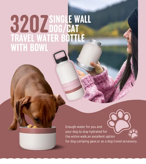 Custom Logo Color Package Single Wall 304 Stainless Steel Pet Water Bottle with BPA