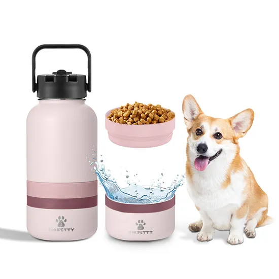 3 in 1 Single Wall Stainless Steel Pet Water Bottle 
