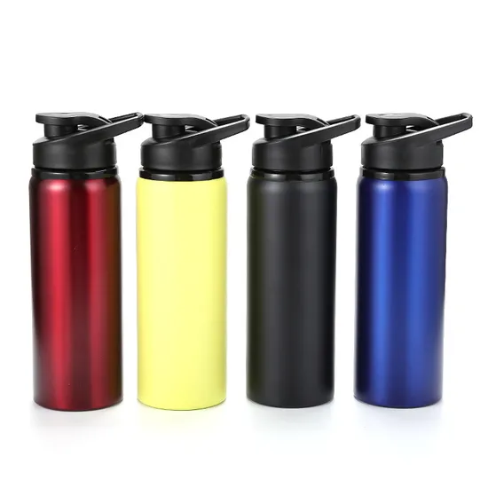 Wholesale Single Wall Stainless Steel 500ml 600ml 750ml Bicycle Drink Sports Aluminum Water Bottle 
